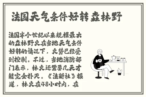 精品**系列无码天堂